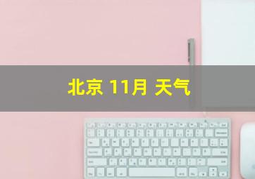 北京 11月 天气